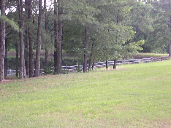 Pond View