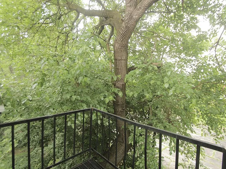 419 Peebles St #3 — Photo 3