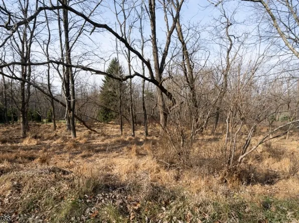 40 W Springtown Rd, Washington Twp., NJ 07853