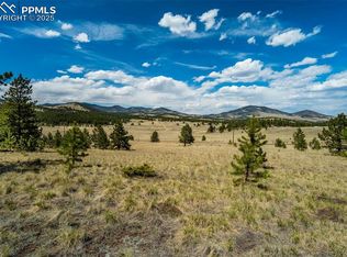 128 Nancy Ann Arroyo, Guffey, CO 80820