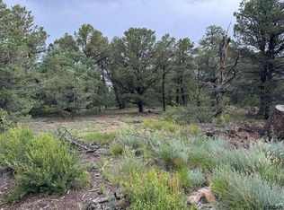 Tbd 7th Trl, Cotopaxi, CO 81223