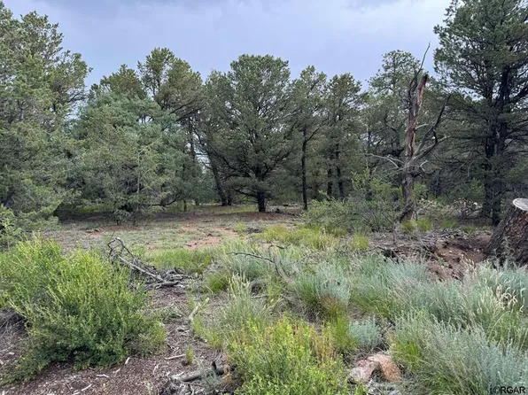 Tbd 7th Trl, Cotopaxi, CO 81223