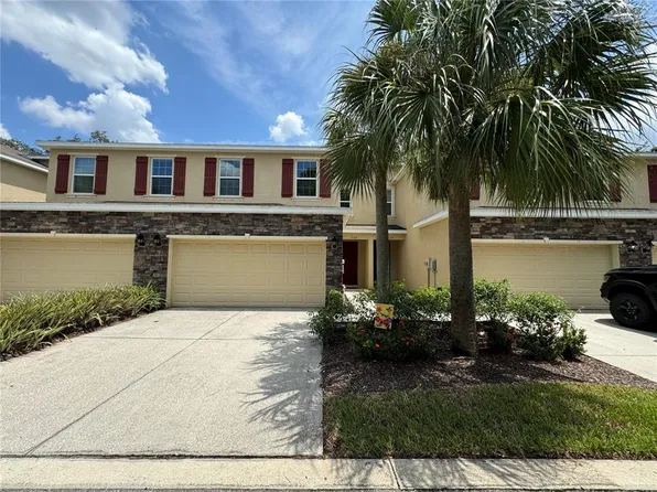 13109 Canopy Creek Dr, Tampa, FL 33625