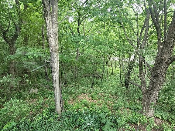 3rd image of 4893 Woodhurst Ln