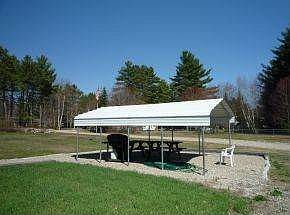 Picnic under the canopy