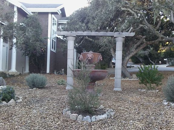 Front yard