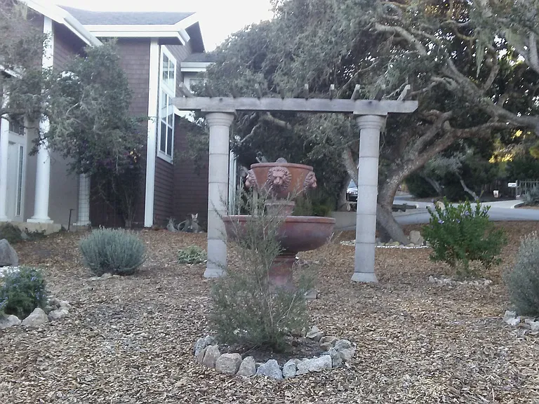 Front yard