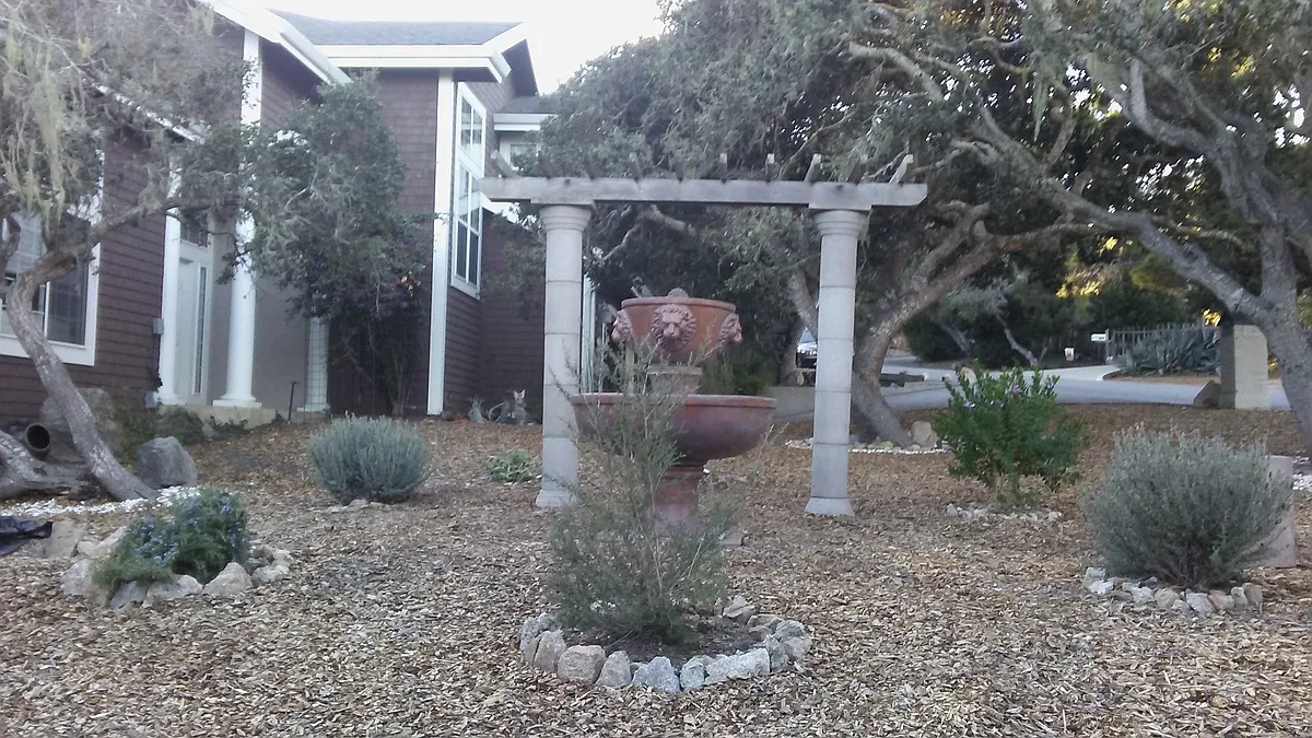 Front yard - 411 Herrmann Dr