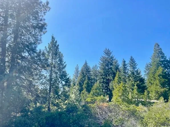 LOT 1 Pony Trl, Mount Shasta, CA 96067