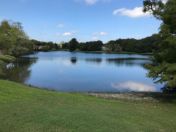 Down the Street from Beautiful Duck Pond