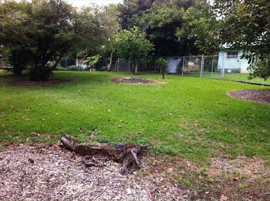 2nd image of LOT 85 B