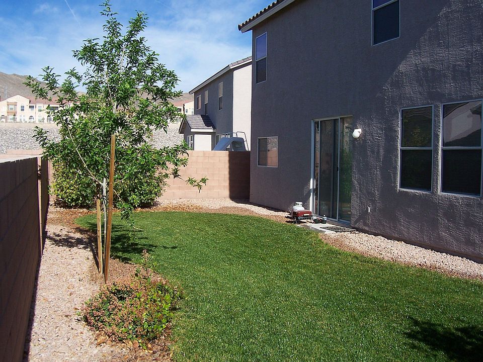 Back yard
