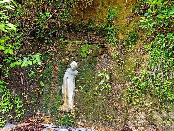 33rd image of this home