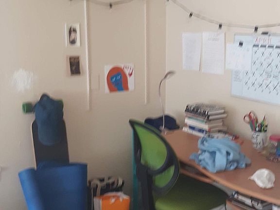 5th image of 802 W Illinois St #2