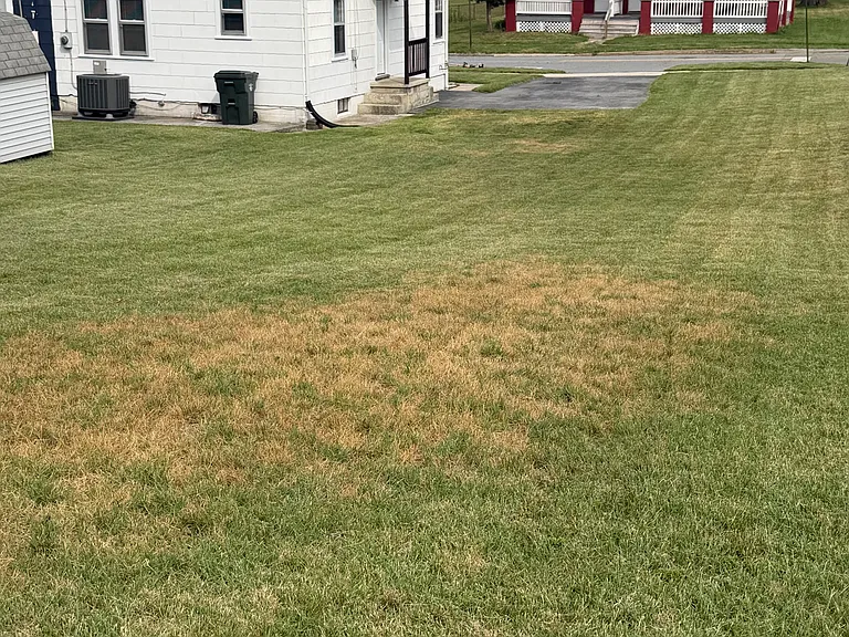 View of house from yard, showing rear concrete patio large enough for table and chairs and more!