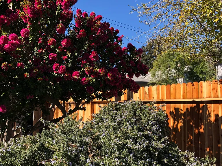 Oakdale Dr — Photo 17