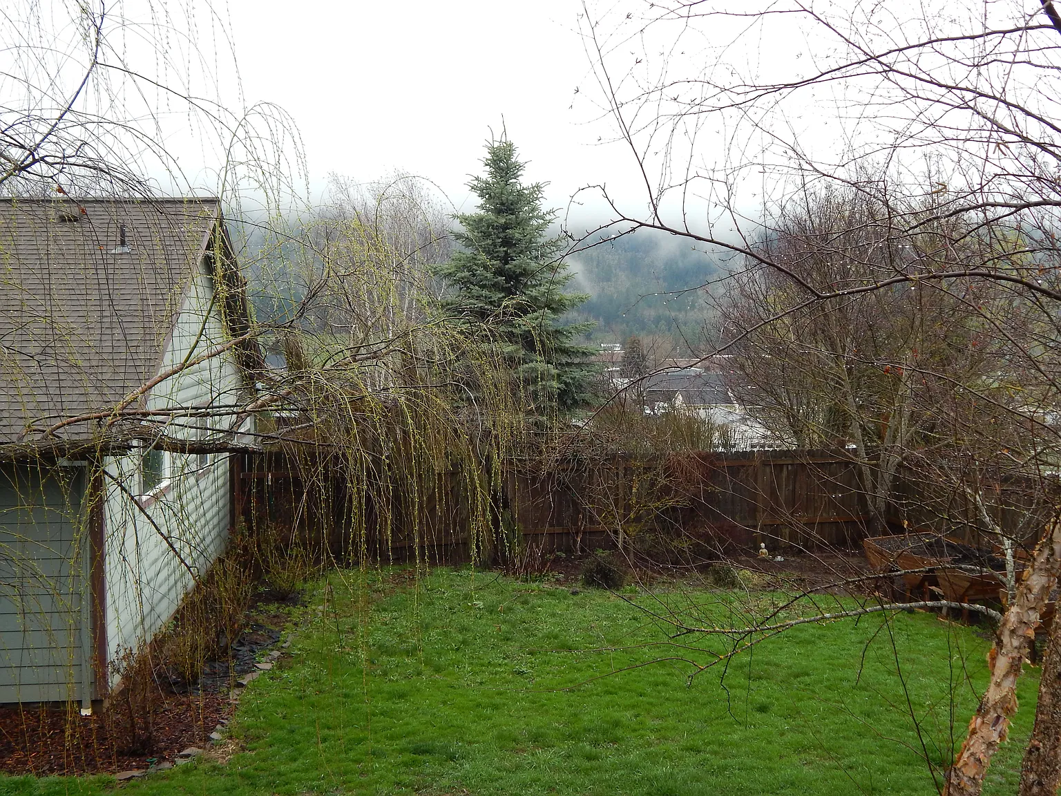 546 Cochran Ln photo 1