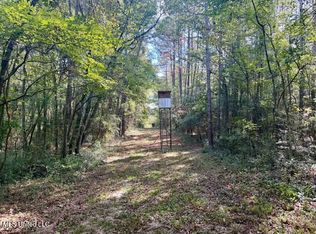 Beartown Rd, Jayess, MS 39641
