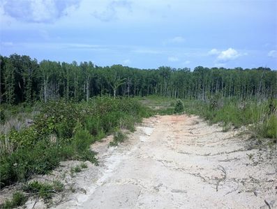 519 Bill Pearson Rd, Woodruff, SC, 29388