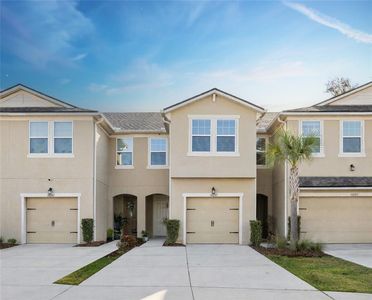14205 Damselfly Dr, Tampa, FL, 33625