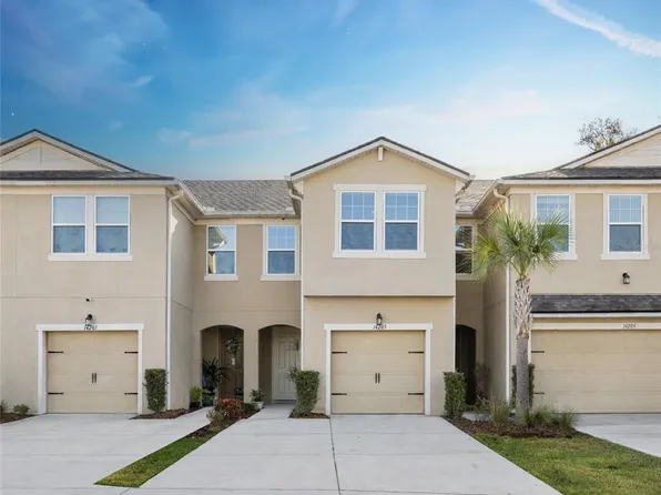 14205 Damselfly Dr, Tampa, FL 33625