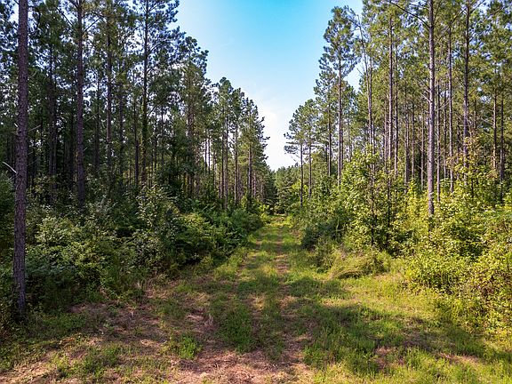 2nd image of 0 County Road 966