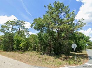 12350 S Gladiolus Pt, Floral City, FL 34436