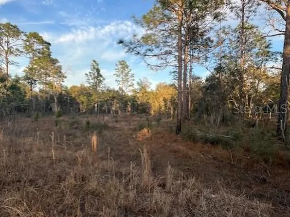 0 NE 148th Ct #22, Williston, FL 32696