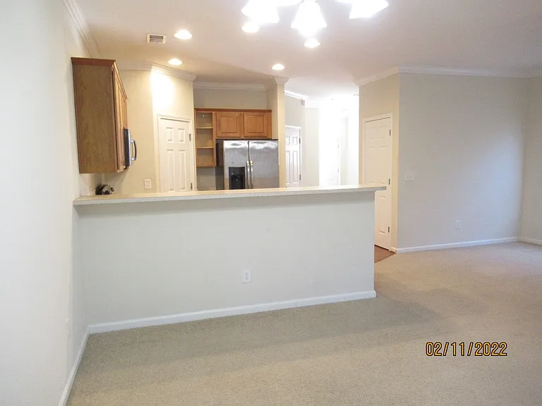 1666 Ruger Dr — Photo 7