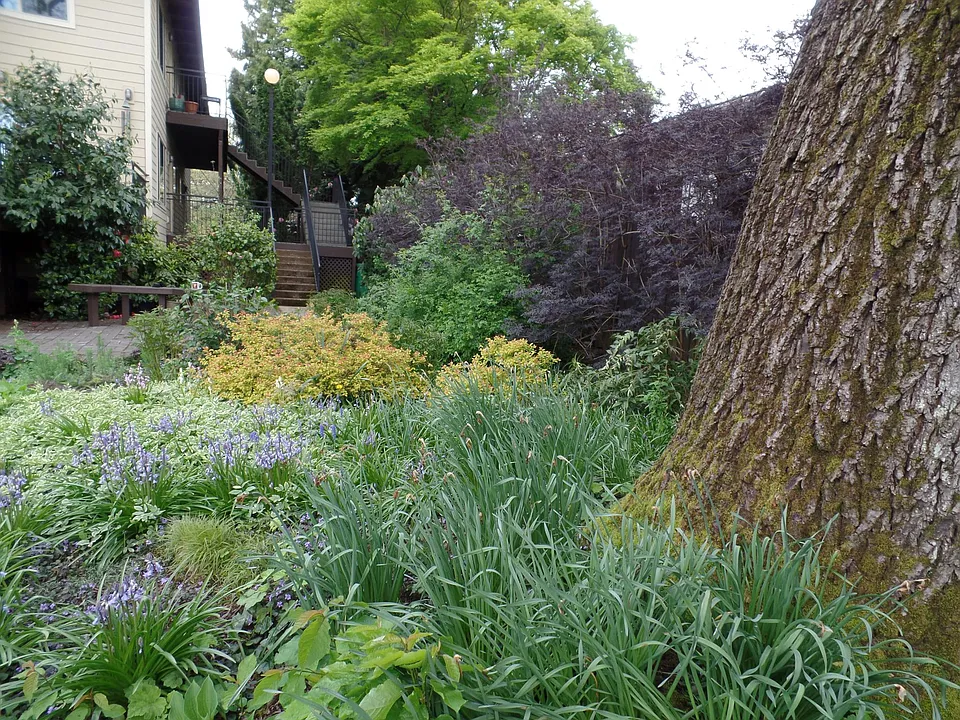 FY garden, bench and stairway