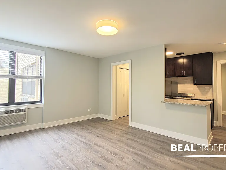 445 W Barry — Photo 58