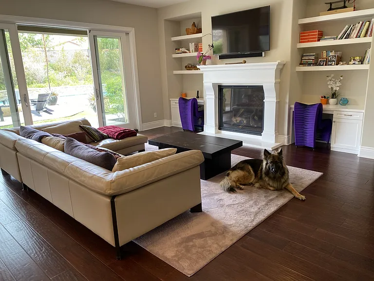 10886 Cadence Isle Ct — Photo 8