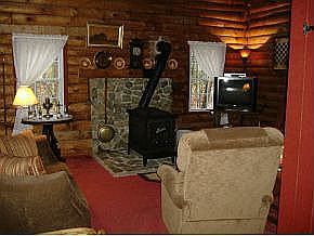 Living room w/ propane stove