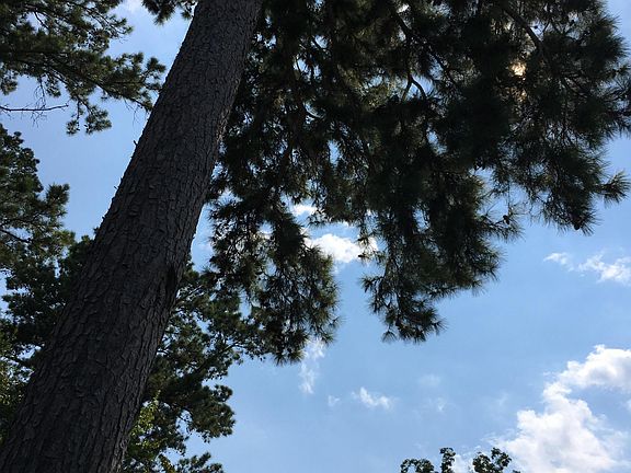 4th image of 3723 O Henry Dr