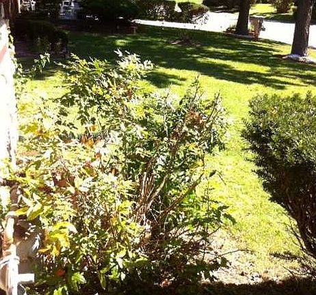 3rd image of 5320 E 41st St