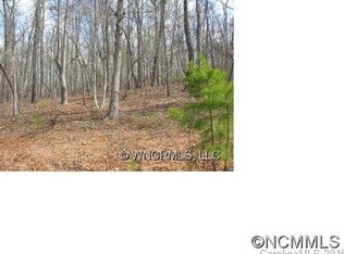 73 River Ridge Dr, Rutherfordton, NC 28139