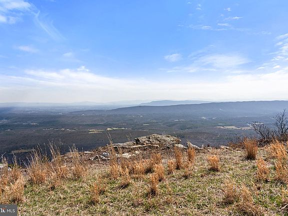 4th image of 1581 Great Mountain Ln
