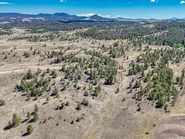 Lot 11 Hwy 9 LOT L11, Hartsel, CO 80449