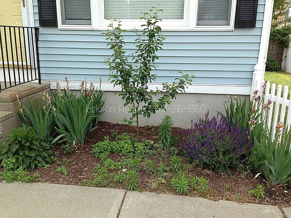 Front Garden Space