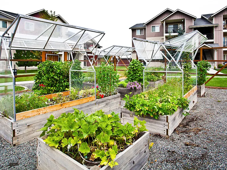 Private Pea-Patch Garden