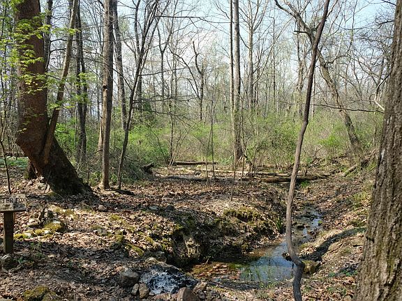 4th image of 3578 Wolf Creek Rd