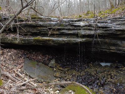 0 Squaw Creek Rd, Potosi, MO, 63664