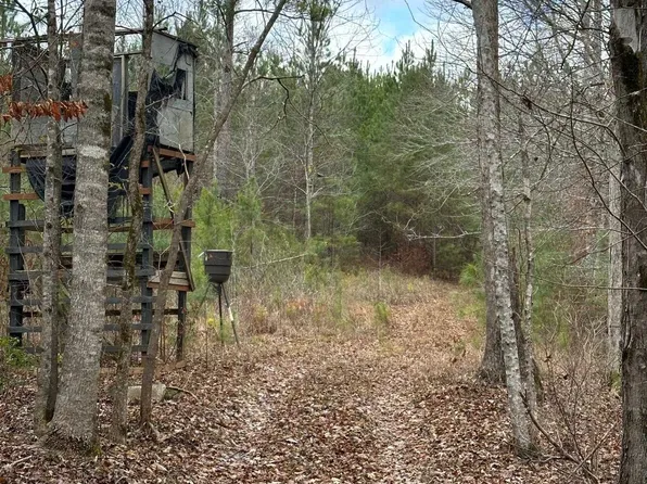 0 N Madden Bridge Rd, Molena, GA 30258