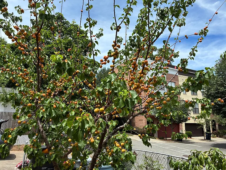 5510 44th Ave — Photo 20