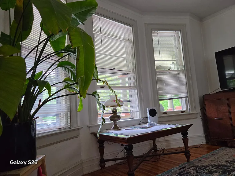98 Hamilton Ave #1 — Photo 13