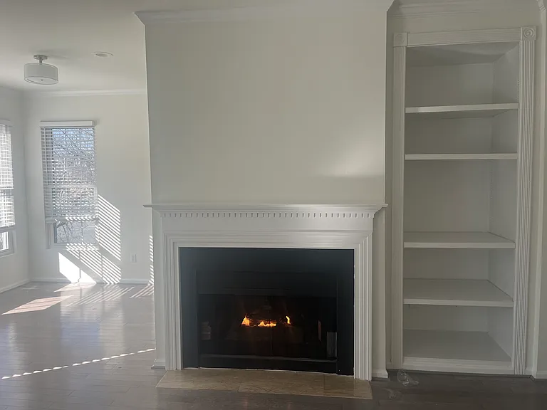 Living Room Fireplace