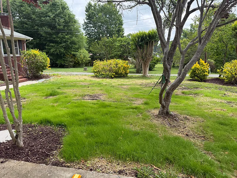 306 Andrea Dr — Photo 11