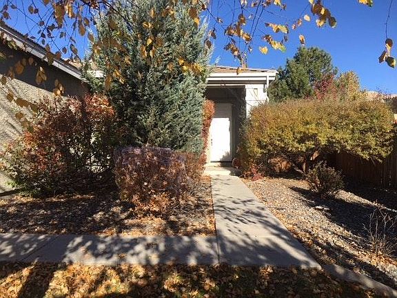 Front Photo - mature foliage