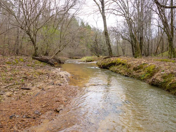 0 County Road 3217 #386, Haleyville, AL 35565