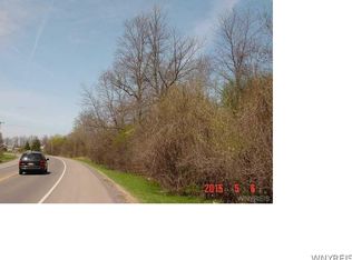 Vl Saunders Settlement Rd, Lewiston, NY 14092